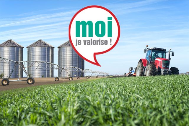 Collecte des déchets agricoles issus de l’agrofourniture