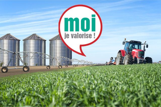 Collecte des déchets agricoles issus de l’agrofourniture