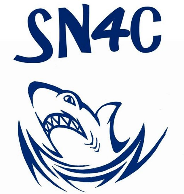 Les nageurs du club des SN4C ont pris des couleurs !