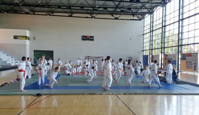 Tournoi de judo au Palais des sports...